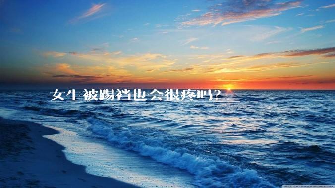 女生被踢裆也会很疼吗？