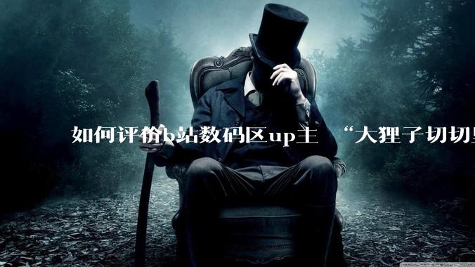 如何评价b站数码区up主 “大狸子切切里”?