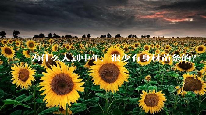 为什么人到中年，很少有身材苗条的？