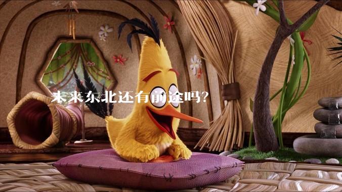 未来东北还有前途吗？