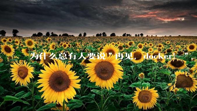 为什么总有人要说"再见，docker！"，那玩nas的为什么还离不开docker，比如绿联，飞牛？