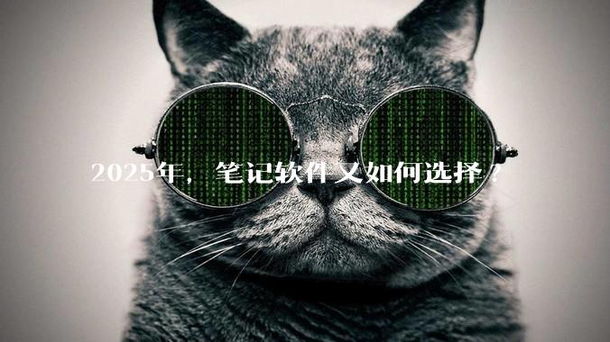2025年，笔记软件又如何选择?