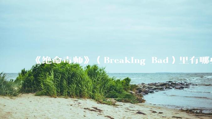 《绝命毒师》（Breaking Bad）里有哪些硬伤？