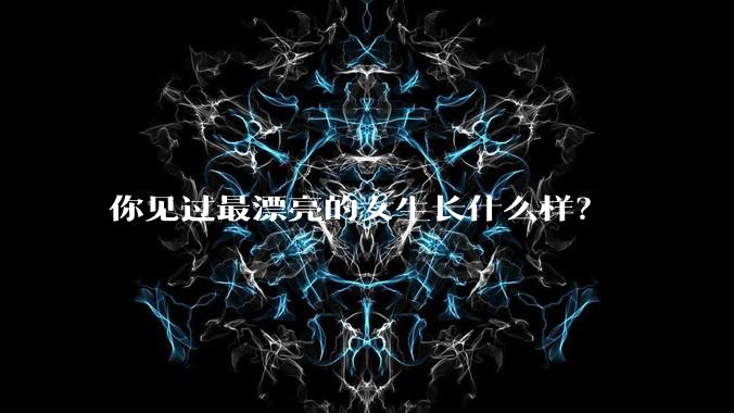 你见过最漂亮的女生长什么样？