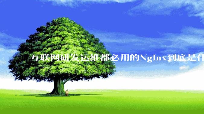 互联网研发运维都必用的Nginx到底是什么呢？