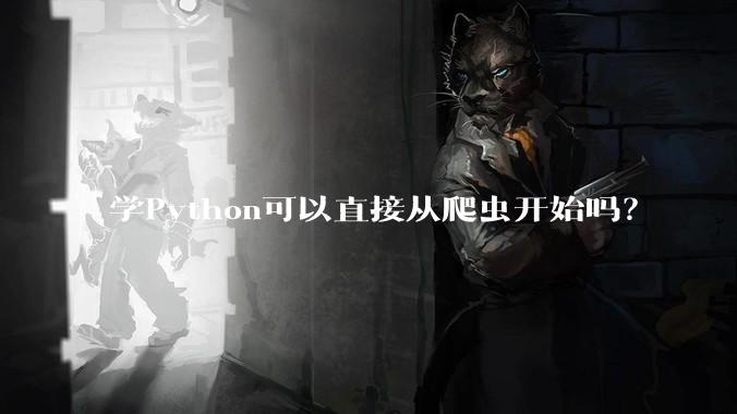 学Python可以直接从爬虫开始吗？