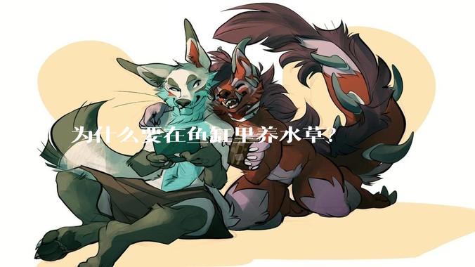 为什么要在鱼缸里养水草？