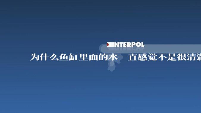 为什么鱼缸里面的水一直感觉不是很清澈呢？