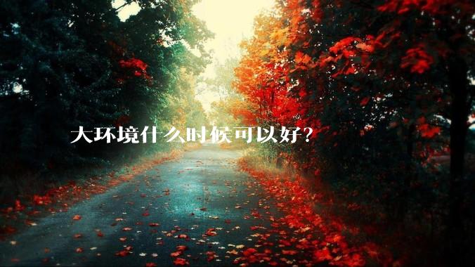 大环境什么时候可以好？