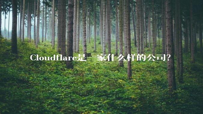 Cloudflare是一家什么样的公司？
