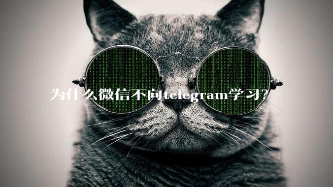 为什么微信不向telegram学习？