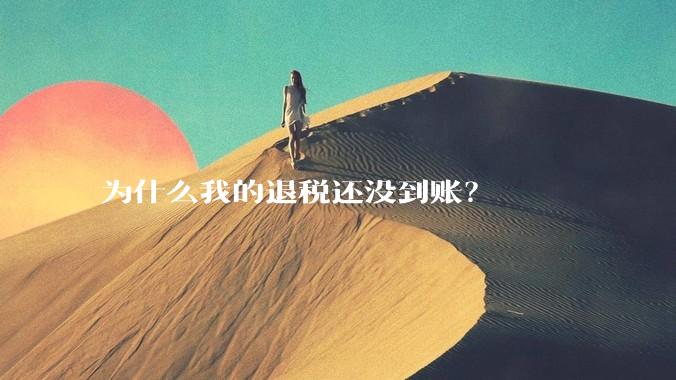 为什么我的退税还没到账？
