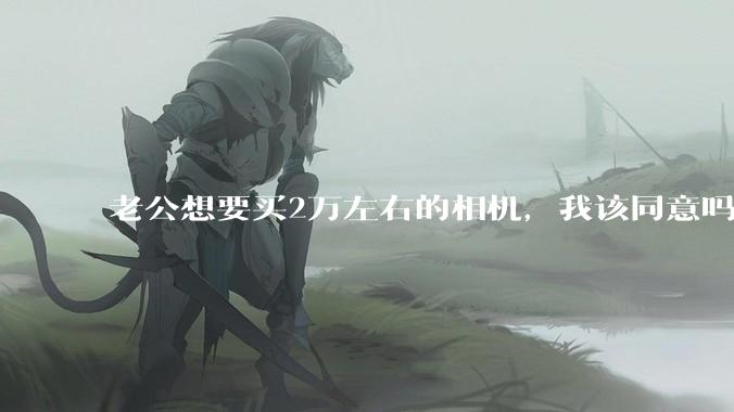 老公想要买2万左右的相机，我该同意吗？