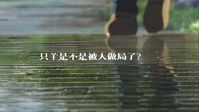 三只羊是不是被人做局了？