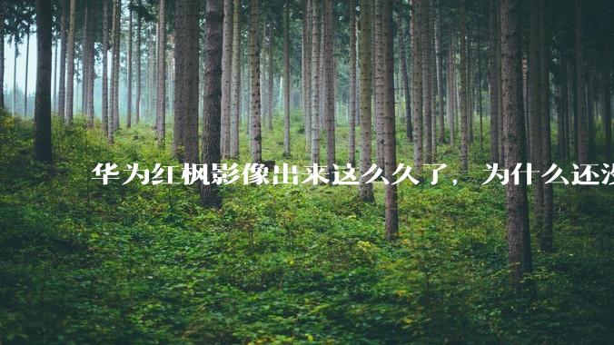 华为红枫影像出来这么久了，为什么还没有友商跟进？是不是说明这是一项可有可无的技术？
