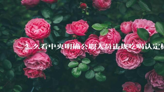 怎么看中央明确公职人员违规吃喝认定标准?