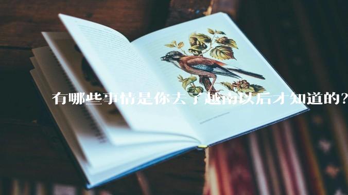 有哪些事情是你去了越南以后才知道的？