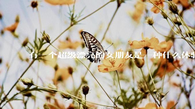 有一个超级漂亮的女朋友是一种什么体验？