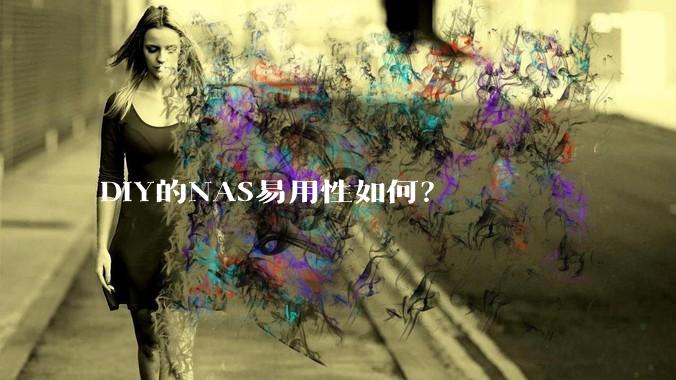 DIY的NAS易用性如何？