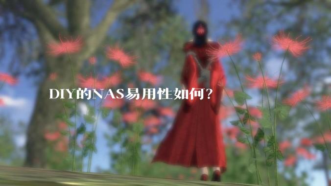 DIY的NAS易用性如何？