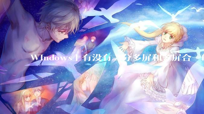 Windows上有没有一分多屏和多屏合一的软件？
